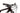 Specialized Epic Expert 2021 - SRAM X01 - Roval Control