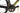 Scott Addict RC Pro AXS 11V 2024 - SRAM Red AXS - Aluminium