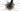 Cannondale SuperSix EVO SE 2024 - SRAM Force - DT Swiss R470