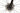 Cannondale SuperSix EVO SE 2024 - SRAM Force - DT Swiss R470