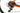 Ridley Kanzo Adventure 2023 - SRAM Rival 11sp - Forza Norte Gravel DB