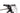 Orbea Alma M30 2021 - Shimano XT - Gurpil Alpha