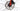 Bottecchia 8Avid Ultimate 2023 - Shimano 105 Di2 2x12sp - Fulcrum Racing 800