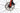 Bottecchia 8Avid Ultimate 2023 - Shimano 105 Di2 2x12sp - Fulcrum Racing 800