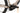 Bulls LT EVO CX 2024 - Shimano Acera - Aluminium