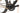 Cannondale Topstone Carbon 4 2024 - Shimano GRX - WTB ST i25