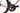 Specialized Tarmac SL8 Expert 2023 - Shimano Ultegra Di2 2x12sp - Roval C38
