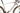 Cannondale Topstone Carbon 2 2023 - Shimano GRX - Aluminium