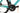 Bianchi Sprint Disc 2024 - Shimano 105 Di2 2x12sp - Velomann V30R