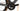 Scott Foil 2025 - Shimano Dura-Ace Di2 2x12sp - Syncros Capital 1.0