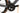 Scott Foil 2025 - Shimano Dura-Ace Di2 2x12sp - Syncros Capital 1.0