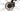 Bergamont Horizon 4 Lady 2023 - Shimano Alivio - Aluminium