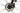 Bergamont Horizon 4 Lady 2023 - Shimano Alivio - Aluminium