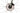 Giant TCR Advanced 0 2024 - Shimano 105 Di2 2x12sp - Shimano SLR