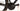 Factor LS 2022 - SRAM X01 AXS 1x12sp - Forza Levanto