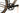Cannondale Topstone Carbon 1 2025 - SRAM Rival AXS 2x12sp - DT Swiss R470