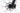 Berria Bravo 2025 - SRAM GX 1x12sp - Black Jack Avan Force