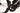 Orbea Ordu M30iLTD 2025 - Shimano 105 Di2 2x12sp - Oquo RP45 Team