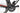 Conor WRC Carbon Challenge 2023 - Shimano Ultegra Di2 - Gurpil DPX