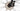 Stevens Primera HT 2024 - Shimano Deore - Oxygen RM26