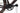 3T Exploro RaceMax AXS 12V 2021 - SRAM Force AXS - Fulcrum Rapid Red 900
