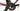 Giant TCR Advanced 1 2021 - Shimano Ultegra - PB Wheel