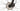 Cannondale Trail 8 2024 - microSHIFT Mezzo - WTB XS 16