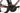 Orbea Orca M10iLTD 2025 - Shimano Dura-Ace Di2 2x12sp - Zipp 353