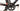 Wilier Izoard XP Pro Race 2020 - Shimano 105 - Vision Team 42