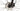 Cannondale Trail 8 2024 - MicroShift Mezzo - WTB SX19
