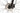 Cannondale Trail 8 2024 - MicroShift Mezzo - WTB SX19