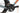 Ridley Grifn RS 2024 - Shimano GRX800 Di2 2x11sp - DT Swiss GRC1600