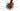Cannondale SuperSix EVO Hi-MOD 1 2024 - SRAM Red eTap AXS 2x12sp - HollowGram R-SL 50
