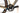 Trek Checkpoint SL6 2025 - SRAM Rival AXS 1x13sp - Bontrager Paradigm Comp 25