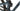 Focus Jam 8.9 2021 - Shimano XTR - DT Swiss M1900