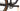 Orbea Oiz M10 2021 - Shimano XTR - DT Swiss XR 1650