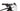 Wilier USMA SL - SRAM NX - Miche