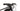 BTwin Rockrider E-ST 500 26 2023 - BTwin - Aluminium