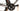 Aurum Magma Essentia 2023 - SRAM Force AXS 2x12sp - Zipp 303 S