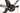 Aurum Magma Essentia 2023 - SRAM Force AXS 2x12sp - Zipp 303 S