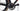 KTM Revelator Alto Exonic 2023 - SRAM Force AXS 2x12sp - Elitewheels
