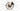 Specialized Aethos Comp 2023 - Shimano 105 Di2 12sp - DT R470