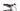 Cube Analog CMPT 2023 - SRAM SX - Cube ZX20