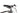 Cube Analog CMPT 2023 - SRAM SX - Cube ZX20