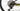 Scott Spark RC 900 World Cup 2020 - Shimano XT - Gurpil Alpha