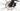 Pegasus Solero E9 Sport CX 2022 - Shimano Altus - Aluminium