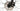 Cannondale Trail 7 2024 - microSHIFT MarvoLT - WTB SX19