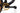 Megamo Track 2022 - SRAM XX1 AXS 1x12sp - DT Swiss XRC1501