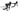 Focus Izalco MAX 8.7 2024 - Shimano 105 - Alexrims