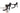 Focus Izalco MAX 8.7 2024 - Shimano 105 - Alexrims
